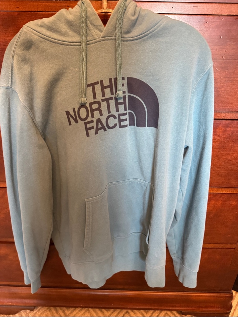 North face hoodie sweatshirt